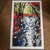 Fallingcolor18x29